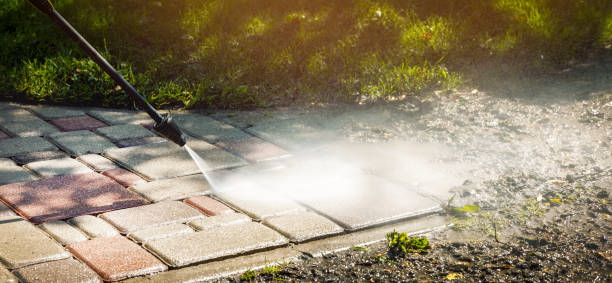 Best Animal Enclosure Cleaning  in Romoland, CA